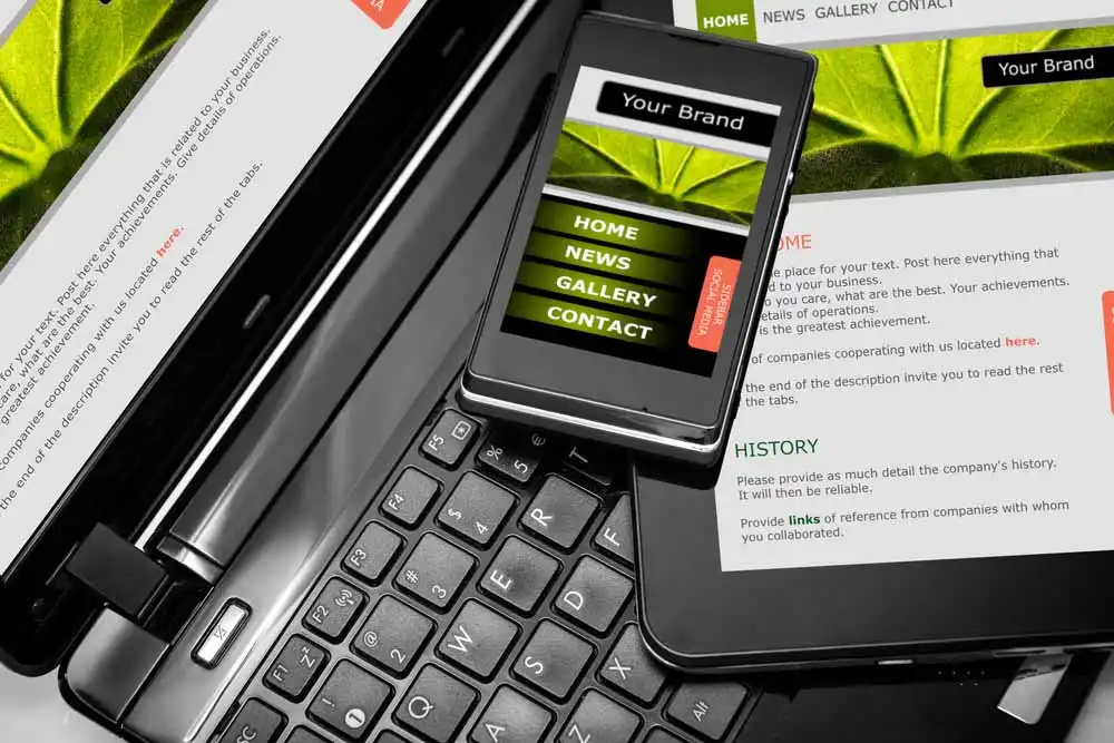 Website Developer in Djibouti